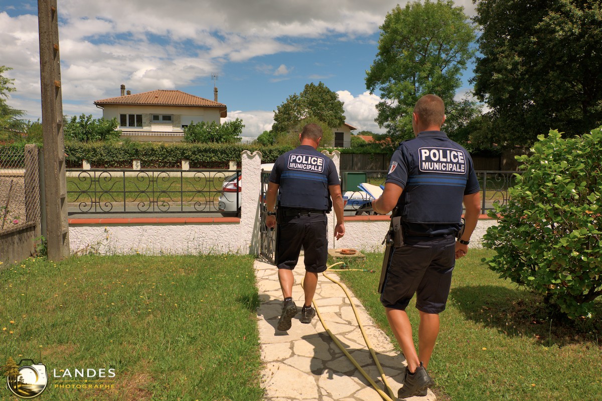 👮 Police municipale de Pessac : immersion au cœur de la prévention et de la sécurité 📸